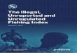 The Illegal, Unreported and Unregulated Fishing Indexiuufishingindex.net/include/IUU-Report.pdf · FAO - Food and Agriculture Organization (of the UN) FMC - Fisheries monitoring centre