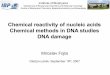 Chemical reactivity of nucleic acids Chemical methods in ... · Chemical reactivity of nucleic acids Chemical methods in DNA studies DNA damage Miroslav Fojta ... •aromatic amines