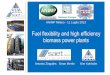 Fuel flexibility and high efficiency biomass power plantsanimp.it/animp_/images/PDF_archivio/saet - da pubblicare.pdf · Fuel flexibility and high efficiency biomass power plants