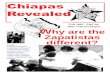 Chiapas Revealed - Struggle · from the EZLN to ‘be a Zapatista wher-ever you are’. So although the Zapatistas remain isolated in the jungles and mountains of south east-ern Mexico