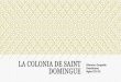La Colonia de Saint Domingue - WordPress.com · Formación de la colonia francesa de Saint Domingue La Paz de Ryswick celebrada en 1697 confirmó la permanencia de los franceses en