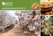 Almond Insights 2019-P1b€¦ · arronds austratian almonds australian almonds ALMOND WARD or AUSTRAUA . Title: Almond Insights 2019-P1b Author: Simon Mcdonald Created Date: 10/28/2019