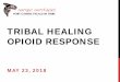 TRIBAL HEALING OPIOID RESPONSE and Other Approaches to Addres… · natural substances that come from opium. Opium poppy • Morphine • Codeine Opioids are medicines/drugs that