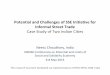 Potential and Challenges of SSE Initiative for Informal ...httpInfoFiles... · Potential and Challenges of SSE Initiative for Informal Street Trade Case Study of Two Indian Cities