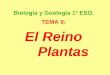 Biología y Geología 1º ESO. TEMA 9: El Reino Plantas€¦ · LA RELACIÓN EN LAS PLANTAS Las plantas, como todos los seres vivos, tienen capacidad para responder ante cambios en