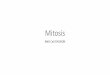 Mitosis - Weebly€¦ · •Mitosis is the division of the nucleus, it is followed by cytokinesis, the division of the cytoplasm. •Mitosis is only one small part of the cell cycle