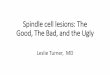 Spindle cell lesions: The Good, The Bad, and the Ugly · Spindle cell lesions: The Good, The Bad, and the Ugly Leslie Turner, MD. Objectives •Refresh and broaden your knowledge
