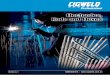 Electrodes, Rods and Fluxes - Cigweld€¦ · when welding is your business At Thermadyne we distinguish ourselves from our competitors through superior features, dependable products,