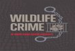 Wildlife CrimeReport14 12...1 EXECUTIVE SUMMARY T he global demand for wildlife products is highest in Asia, where growing afﬂ uence has fueled an unprecedented rise in the trafﬁ