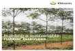 Building a sustainable rubber business · 2019-08-24 · rubber industry and some other agri-commodities do not have a certification scheme, so in addition to applying our own internal