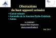 P. CONORT Hôpital Pitié-Salpêtrière pierre.conort@aphpnaxos.biomedicale.univ-paris5.fr/diue/wp-content/uploads/2013/06/Di… · Obstructions du haut appareil urinaire P. CONORT