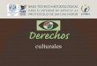 BASES Derechos - UNAM · Indicadores de progreso para la medición de derechos contemplados en el Protocolo de San Salvador. Segundo agrupamiento de derechos. Derechos culturales