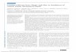 Lamina Cribrosa Pore Shape and Size as Predictors of Neural Tissue Mechanical Insu · PDF file 2017-11-07 · Glaucoma Lamina Cribrosa Pore Shape and Size as Predictors of Neural Tissue
