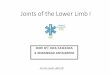 Joints of the Lower Limb I - medicinebau.com...Joints of the lower limb : •Associated ligaments •Posterior sacroiliac ligament •Interosseous sacroiliac ligament (between tuberosities