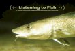Listening to Fish - Listening to Fish: An International Workshop on the Applications of Passive Acoustics to Fisheries 9 To identify the species of fish producing a sound, one