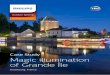 Case Study Magic illumination Grande Île · Outdoor lighting Case Study Magic illumination of Grande Île Strasbourg, France. Background ... the museum of history, the old customs