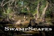 OUR STORY - SwampScapesOUR STORY. Before there were cities, there were swamps. Many of us are disconnected from the beauty of swamps and the vital . role they play in filtering water,