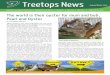Treetops News - Friends of the Koala Inc. · Treetops News Autumn/Winter 2019 The world is their oyster for mum and bub, Pearl and Oyster ... that she had a young, male joey in the