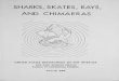 SHARKS, SKATES, RAYS, AND CHIMAERAS · SHARKS, RAYS, SKATES, AND CHIMAERAS By J. R. Thompson and Stewart Springer INTRODUCTION Sharks, skates, rays, and, to a lesser extent, chimaeras--all