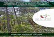 Estrategia Nacional de Manejo Forestal - gob.mx · 2019-04-18 · Chihuahua, Puebla, Hidalgo, Michoacán, Guerrero, Tamaulipas, Veracruz, Jalisco, Estado de México, axaca, Chiapas,