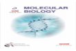 MOLECULAR BIOLOGY - himedialabs.com · Molecular Biology 2 INDEX Sr. No. Title Page No 1. Introduction 3 2. DNA and RNA Extraction Kits 5 3. Buffers and Reagents for Electrophoresis