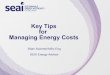 Key Tips for Managing Energy Costs - Green Business · Key Tips for Managing Energy Costs Brian Scannell MSc Eng SEAI Energy Advisor . ... Business Case for Energy Managemen Retail