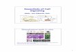 Essentials of Cell Signaling · Takahashi K & Yamanaka S. Cell 126, 2006, 663-676 neurones Cell-to -cell communication: 1. Synthesis and 2. Release of the signaling molecule by the