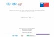 Ministerio de Salud - Gobierno de Chile - - Informe Final · 2018-03-06 · 2 Este informe fue desarrollado por la Subsecretaría de Salud Pública del Ministerio de Salud de Chile