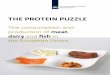 The proTein puzzle - PBL Planbureau voor de Leefomgeving€¦ · 1 Introduction 38 1 . 1 Bakcground 38 1.2 Structure of the report 40 2 The global and long-term context 42 12. ntI