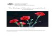 The Biology of Dianthus caryophyllus L. (Carnation) · This document addresses the biology of Dianthus caryophyllus (carnation), with particular reference to the Australian environment,