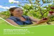 WOLLONDILLY SHIRE COUNCIL · Wollondilly Shire Council General Purpose Financial Statements for the year ended 30 June 2016 Understanding Council’s financial statements page 2 Introduction