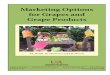 Marketing Options for Grapes and Grape Products · Marketing Options for Grapes and Grape Products 9 end user, growers receive retail prices for their grapes. Moreover, consumers