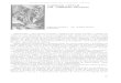 CAPSICUM ANNUUM (AJÍ, VARIEDAD PICANTE)repositorio.geotech.cu/jspui/bitstream/1234/2285/4... · 2018-11-09 · CATHARANTHUS ROSEUS (VICARIA) Catharanthus roseus (L.) G. Don. (vicaria)