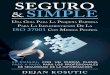 Dejan Kosutic Seguro & Simple - Advisera · 13.6 ISO 27001 vs. ISO 27032 vs. ciberseguridad ..... 231 13.7 Relación entre ISO 22301, ISO 20000, ISO 9001, ISO 14001 e ISO 45001
