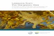 Lessons from the Sargasso · PDF file Lessons from the Sargasso Sea Sargasso Sea, and the closest regional seas programme (for the Wider Caribbean Region) does not extend as far north