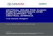 CRITICAL ISSUES FOR CLEAN ENERGY FINANCING AND LEDS ...€¦ · ECAM Clean Energy Financing and LEDS: Initial Status Report i usd CRITICAL ISSUES FOR CLEAN ENERGY FINANCING AND LEDS