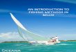 AN INTRODUCTION TO FISHING METHODS IN BELIZE · When fishers report piracy, they usually say armed men aboard skiffs are raiding fishing camps or robbing produce directly from the