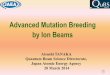 Advanced Mutation Breeding by Using Ion Beams · Advanced Mutation Breeding by Ion Beams Atsushi TANAKA Quantum Beam Science Directorate, Japan Atomic Energy Agency 20 March 2014