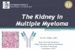 The Kidney in Multiple Myeloma - Manssmh.mans.edu.eg/files/pdf/conf/2013/Myloma__the_kidney.pdf · The Kidney in Multiple Myeloma Tarek ElBaz, MD. Prof. Internal Medicine Chief, Division