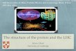 The structure of the proton and the LHC - NNPDFnnpdf.mi.infn.it/wp-content/uploads/2017/10/Ubiali.pdf · The structure of the proton and the LHC Maria Ubiali University of Cambridge