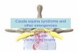 Cauda equina syndrome and other emergencies€¦ · Outcome and relationship to time of onset to surgery Cauda equina syndrome: the timing of surgery probably does influence outcome