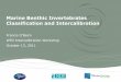 Marine Benthic Invertebrates Classification and Intercalibration EQR... · PDF file Marine Benthic Invertebrates Classification and Intercalibration. Benthic EQR - Coastal waters
