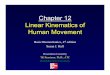 Chapter 12 Linear Kinematics of Human Movement · Chapter 12 Linear Kinematics of Human Movement Basic Biomechanics, 4th edition Susan J. Hall Presentation Created by TK Koesterer,