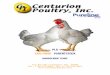 PLG EARLYBIRD PARENTSTOCK - Centurion Poultrycenturionpoultry.com/guides/plg/EB Parentstock... · PLG EARLYBIRD PARENTSTOCK MANAGEMENT GUIDE P.O. Box 591 * Lexington, GA 30648 Tel: