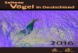 DAK 2018: Seltene Vogelarten in Deutschland 2016. Seltene ... lichen Wirtschaftszone (AWZ) erfolgten