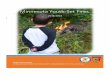 Minnesota Youth-Set Fires · Minnesota youth-set fire data 2011-2015 During the five-year period between 2011 and 2015, Minnesota fire departments reported 1,051 fires as “playing
