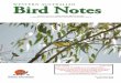 Bird Notes - birdswa.iinet.net.aubirdswa.iinet.net.au/WABN/WABN #134 2010 Jun.pdf · Ranges (2006) (Table 2) and at Dryandra (2005). At the Talbot Road study site four pairs of Crested