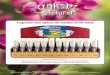Fragrances that capture the wonders of the world · Yakshi Natural Starter Display - 24 pc - 2 each of 12 fragrances- UPC 7 02306 99058 9 Yakshi Natural Display - 72 pc - 6 each of