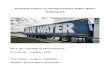 Strategisk analyse og værdiansættelse af Blue Water ...€¦ · De speditionsvirksomheder, der holder sig til deres kerneforretning, og udnytter deres spidskompetencer, har en vigtig