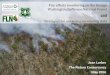 Fire effects monitoring on the George Washington/Jefferson ... · Fire effects monitoring on the George Washington/Jefferson National Forest and Strategies for analyzing monitoring